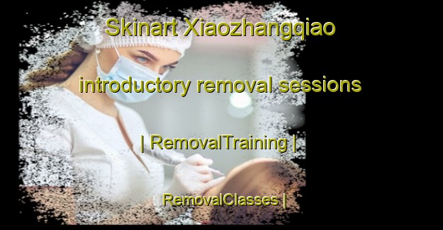 Skinart Xiaozhangqiao introductory removal sessions | RemovalTraining | RemovalClasses | SkinartTraining-China
